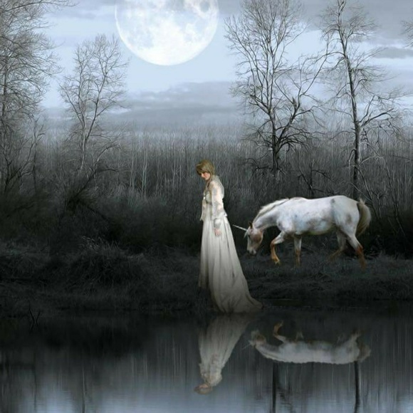 Meet your Posher, Melissa - Picture 8 of 8